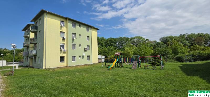 20250508_135416.jpg