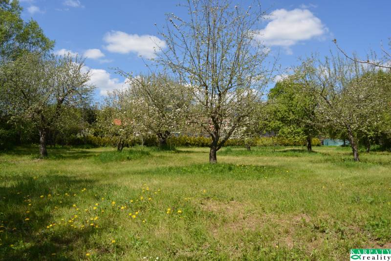 DSC_0971.JPG