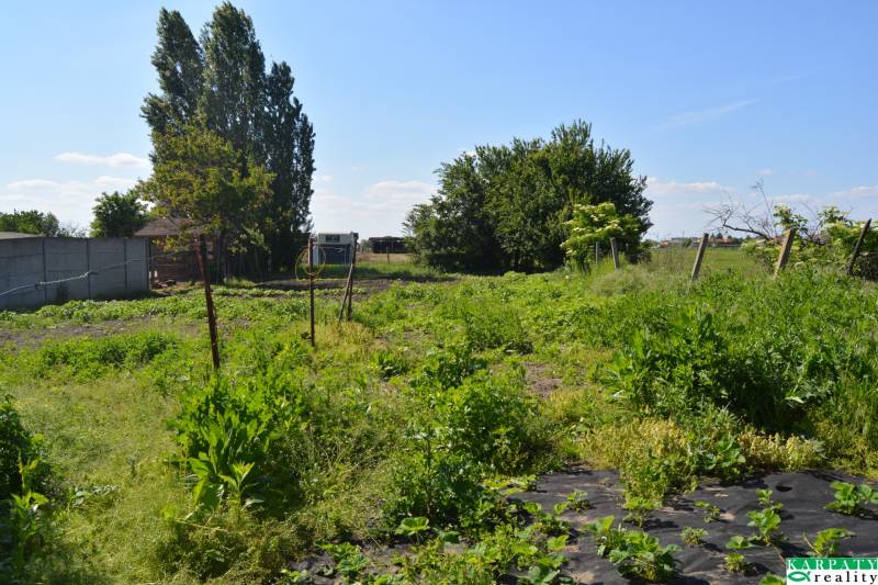DSC_0744.JPG