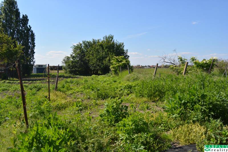 DSC_0746.JPG