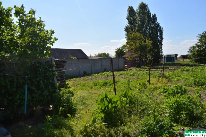 DSC_0745.JPG