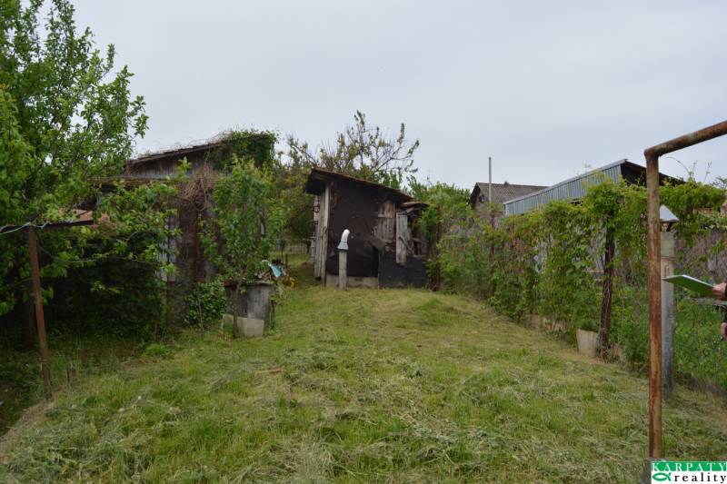 DSC_0700.JPG