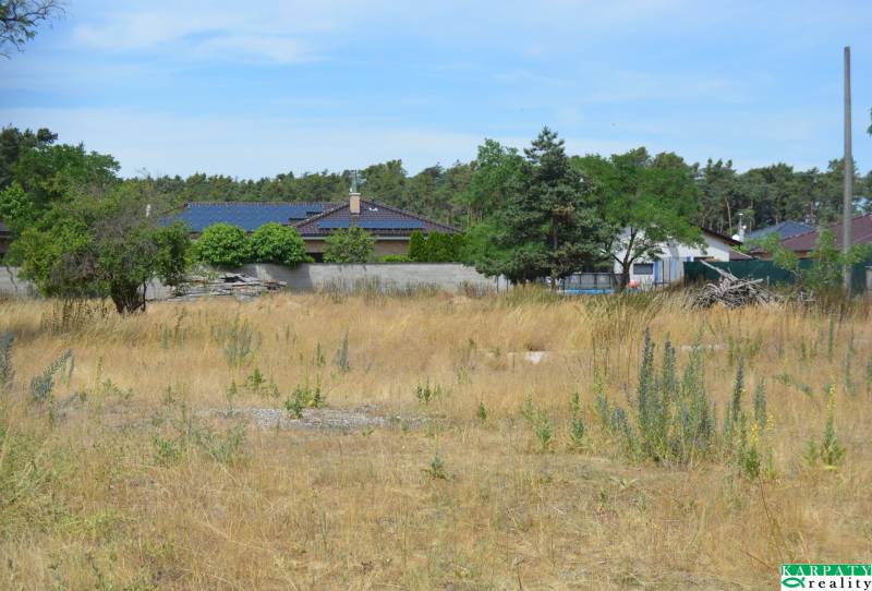 DSC_0381.JPG