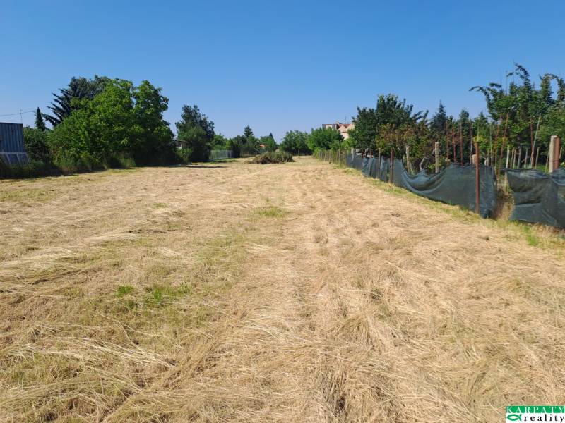 20250531_095652.jpg