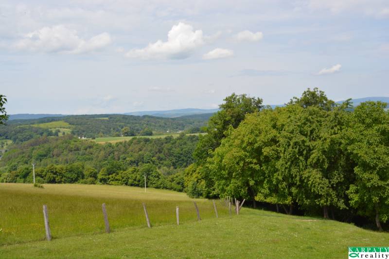 DSC_0969.JPG