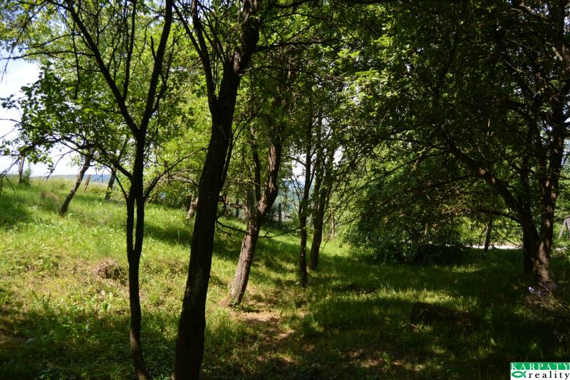 DSC_0945.JPG