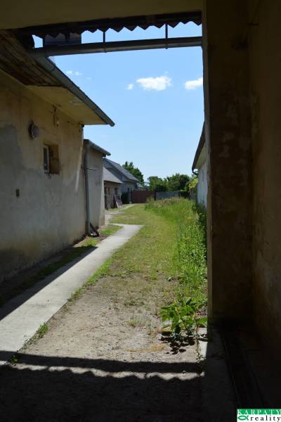 DSC_0148.JPG