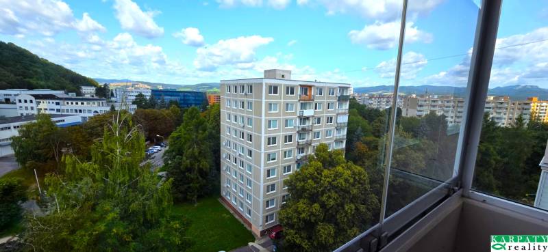 20250806_105628.jpg