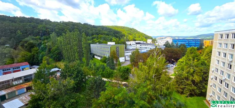 20250806_105659.jpg