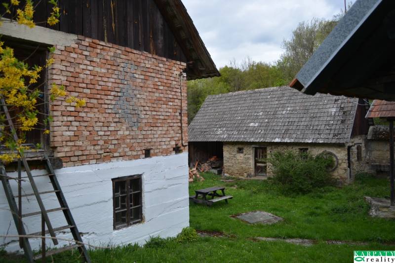 DSC_0100.JPG