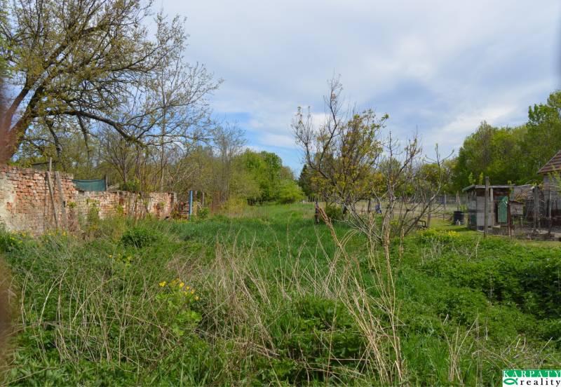 DSC_0171.JPG