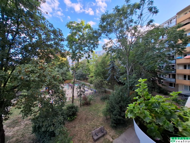 20260901_174742.jpg